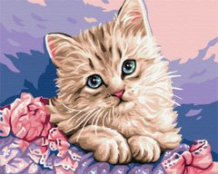 Картина по номерам Синеглазый котенок (BS29696) (Без коробки)