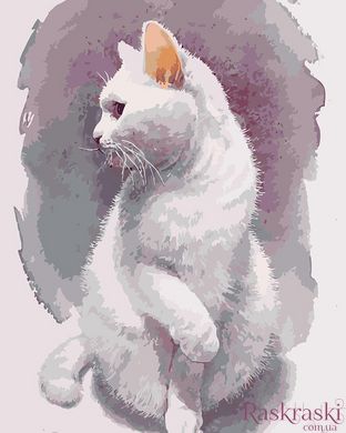 Картини за номерами Тендітний кіт (KH4181) Идейка фото інтернет-магазину Raskraski.com.ua