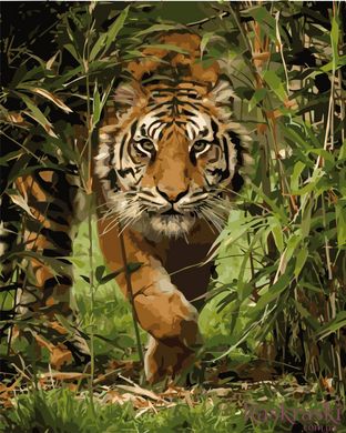 Картина по номерам Тигр на охоте (KHO4043) Идейка (Без коробки)
