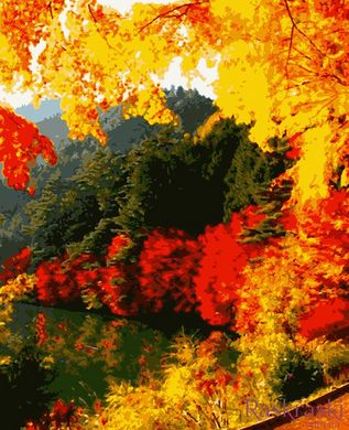 Картина за номерами Яскрава осінь (PN0166) Artissimo (Без коробки)