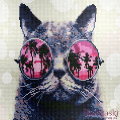 Алмазна мозаїка Кіт в окулярах ColorArt (CLR-TT607) фото інтернет-магазину Raskraski.com.ua