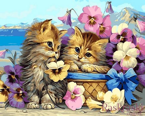 Картина за номерами Кошенята в квітах (VP1349) Babylon фото інтернет-магазину Raskraski.com.ua