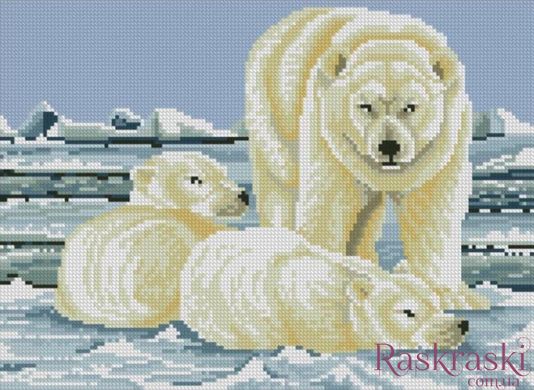 Картина стразами Полярные медведи (27 х 37 см) Dream Art (DA-31739, Без подрамника) фото интернет-магазина Raskraski.com.ua