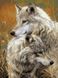 Картина за номерами Степові вовки (VK034) Babylon — фото комплектації набору