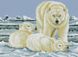 Картина стразами Полярні ведмеді (27 х 37 см) Dream Art (DA-31739) — фото комплектації набору