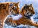 Картина з страз Тигри в зимовому лісі My Art (MRT-TN939) — фото комплектації набору
