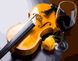 Картина за номерами Скрипка і келих (PGX27891) Brushme Premium — фото комплектації набору