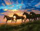 Картина по номерам Табун лошадей на рассвете (BRM43895) — фото комплектации набора