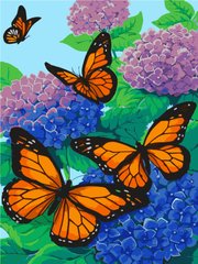 Розмальовка для дорослих Метелики (AS1066) ArtStory (Без коробки)