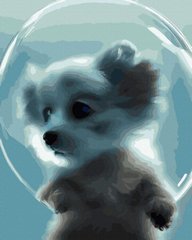 Картина по цифрам Собака в мыльном пузыре (ANG233) (Без коробки)