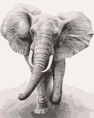 Картина по номерам Африканский слон (ACR-B-11629-AC) ArtCraft фото интернет-магазина Raskraski.com.ua