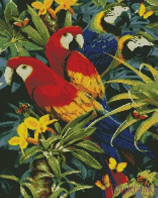 Алмазная вышивка Разноцветные попугайчики Идейка (AM6137, На подрамнике) фото интернет-магазина Raskraski.com.ua