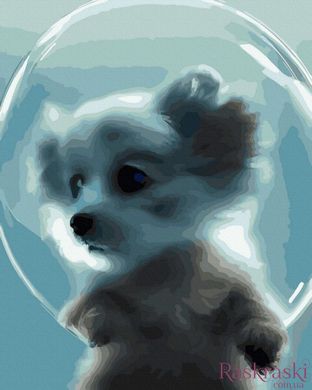 Картина по цифрам Собака в мыльном пузыре (ANG233) (Без коробки)