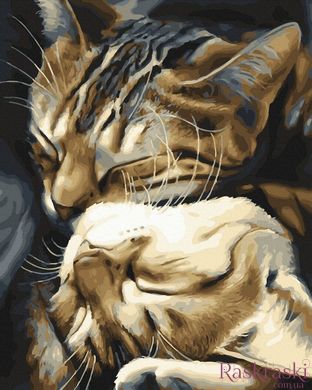 Картина по номерам Спящие котики (BK-GX29747) (Без коробки)