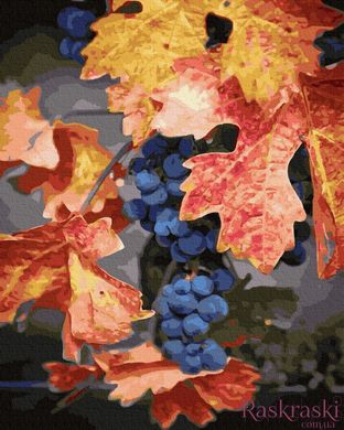 Картина за номерами Осінній виноград (BRM30208) фото інтернет-магазину Raskraski.com.ua