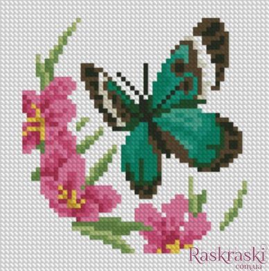 Набір алмазної вишивки Метелик з космеєю (15 х 15 см) Dream Art (DA-31769M) фото інтернет-магазину Raskraski.com.ua