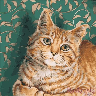 Живопись по номерам Рыжий кот (AS0949) ArtStory (Без коробки)