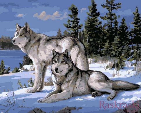 Картина за номерами Вовки на снігу (VP236) Babylon фото інтернет-магазину Raskraski.com.ua