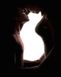 Картина по номерам Семья олицетворение кошки (PGX24725) Brushme Premium — фото комплектации набора