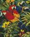 Алмазна вишивка Різнокольорові папужки Идейка (AM6137) — фото комплектації набору