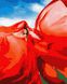 Рисунок по цифрам Женщина в красном (PGX37565) Brushme Premium — фото комплектации набора