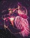 Картина по номерам Космические объятия © Юлия Павлова (BSM-B41360) — фото комплектации набора