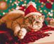 Картина по номерам Санта котик (BSM-B51356) — фото комплектации набора