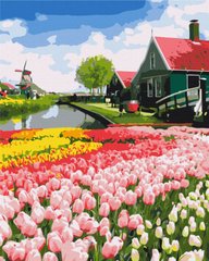 Картина по номерам Голландская провинция (BS52716) (Без коробки)