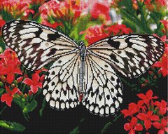 Алмазная вышивка Бабочка на цветах Брашми (GF3482, На подрамнике) фото интернет-магазина Raskraski.com.ua