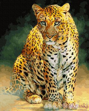 Розмальовка по номерах Леопард (BK-GX28961) (Без коробки)
