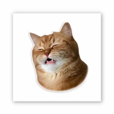 3D-стикер Funny Cat