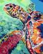 Картина за номерами Райдужна черепаха (AS0076) ArtStory — фото комплектації набору