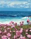 Раскраски по номерам Цветы у моря (AS0380) ArtStory — фото комплектации набора
