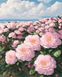Картина раскраска Розовое поле (BRM45628) — фото комплектации набора