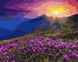Картина по номерам Восход над лавандовым полем (BRM3217) — фото комплектации набора