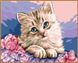 Картины по номерам Милый котик (в раме) (NB118R) Babylon — фото комплектации набора