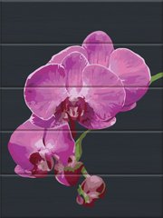 Живопис по номерам Оксамитова орхідея (ASW172) ArtStory фото інтернет-магазину Raskraski.com.ua