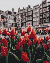 Картини за номерами Тюльпани Амстердаму (BS34169) BrushMe (Без коробки)