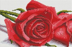 Алмазна мозаїка Троянди ColorArt (CLR-PDT703) фото інтернет-магазину Raskraski.com.ua