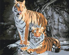 Картина по номерам Дикие тигры (BS52793) (Без коробки)