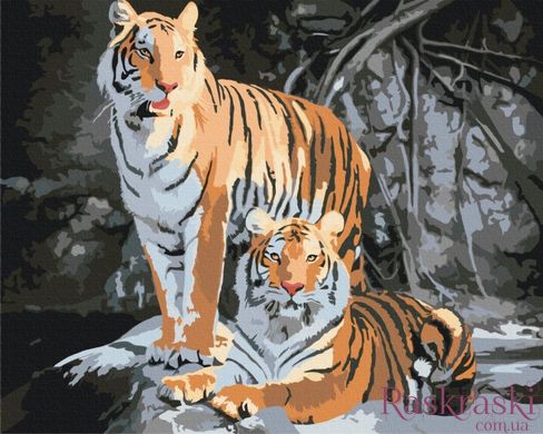 Картина за номерами Дикі тигри (BS52793) (Без коробки)