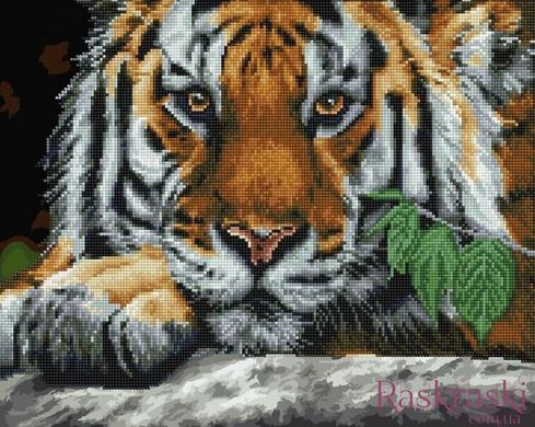 Картина раскраска Взгляд тигра (GZS1009) (Без коробки) фото интернет-магазина Raskraski.com.ua