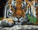 Алмазные картины-раскраски Взгляд тигра (GZS1009) BrushMe (Без коробки) — фото комплектации набора