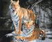 Картина по номерам Дикие тигры (BS52793) (Без коробки)