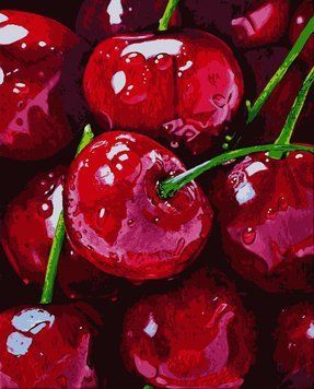 Картина за номерами Соковита черешня (PN4935) Artissimo 40 х 50 см