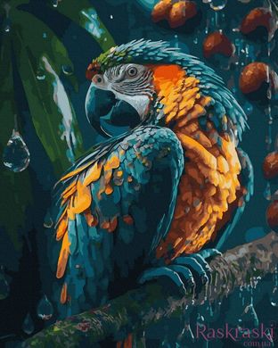 Картина за номерами Папуга на гілці (ANG374) (Без коробки)