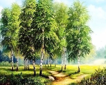 Алмазна живопис Березове узлісся My Art (MRT-TN485) 40 х 50 см фото інтернет-магазину Raskraski.com.ua