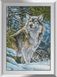 Алмазна вишивка Вовки в горах Dream Art (DA-31102) — фото комплектації набору