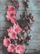 Картина по цифрам Яблуневий цвіт (ASW173) ArtStory — фото комплектації набору