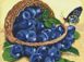 Картина из мозаики Черника в корзине Идейка (AM6102, На подрамнике) — фото комплектации набора
